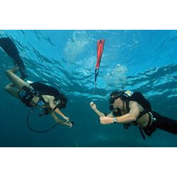 Halcyon Notfallboje Halcyon Notfallboje