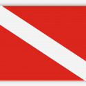 Alpha Flag