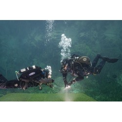 GUE Trainerstunde - 1/2 Tag