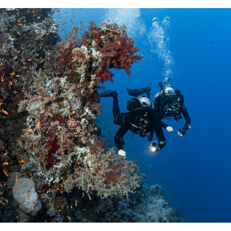 GUE PERFORMANCE DIVER GUE PERFORMANCE DIVER