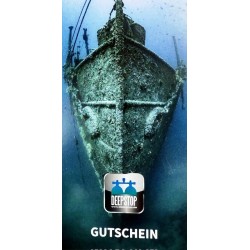 HALCYON DEEPSTOP Christmas Special 2025! HALCYON DEEPSTOP Christmas Special 2025!