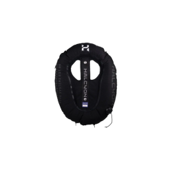 Halcyon Wing Traveller PRO (Eclipse) Halcyon Wing Traveller PRO (Eclipse)