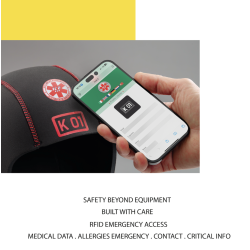 K01 Emergency Chip