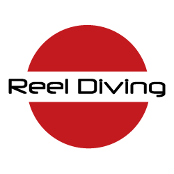 Reel Diving