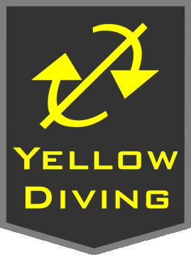Yellow Diving 